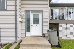 Entryway featuring a white door with a window pane, a sidelight window, and light-toned horizontal siding - 