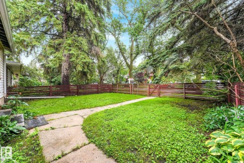Expansive yard featuring a concrete pathway, a wooden privacy fence, mature trees, and established plantings - 9824 91 Avenue Nw, Edmonton, AB - Outdoor
