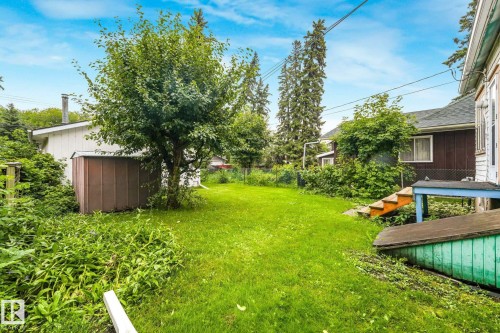 Grassy backyard with mature tree, accompanied by a storage shed - 9824 91 Avenue Nw, Edmonton, AB - Outdoor