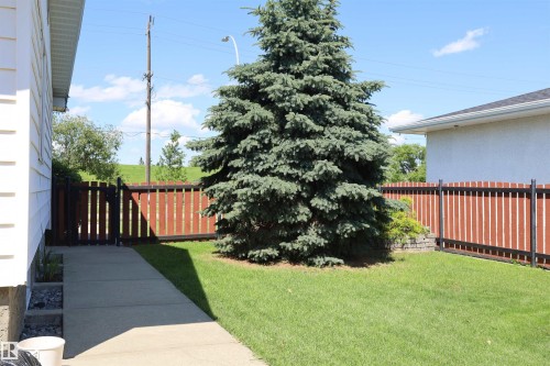 10715 132 Avenue Nw, Edmonton, AB - Outdoor