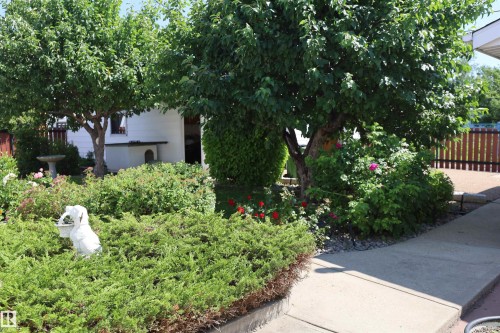 10715 132 Avenue Nw, Edmonton, AB - Outdoor