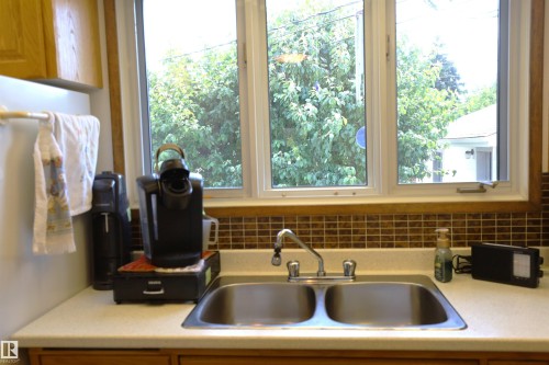 10715 132 Avenue Nw, Edmonton, AB - Indoor Photo Showing Kitchen With Double Sink