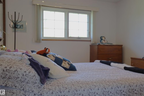 10715 132 Avenue Nw, Edmonton, AB - Indoor Photo Showing Bedroom