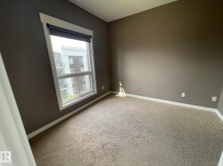 Expansive window with white trim and a roller shade - 