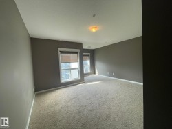 Carpeted room with multiple windows featuring blinds - 