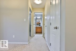 Carpeted hallway with light gray walls, white trim, and a ceiling-mounted light fixture - 