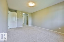 Light gray wall paint, textured ceiling, and light-colored carpeting - 