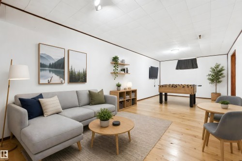 8709 164A Street Nw, Edmonton, AB - Indoor Photo Showing Living Room