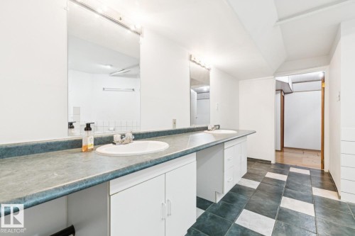 8709 164A Street Nw, Edmonton, AB - Indoor Photo Showing Bathroom