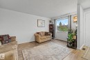 3706 41 Avenue Nw, Edmonton, AB  - Indoor Photo Showing Living Room 