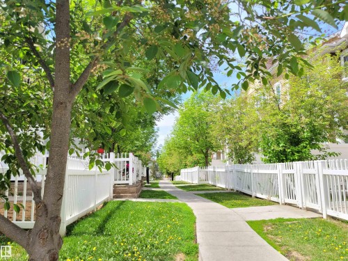 26 1623 Towne Centre Boulevard, Edmonton, AB - Outdoor