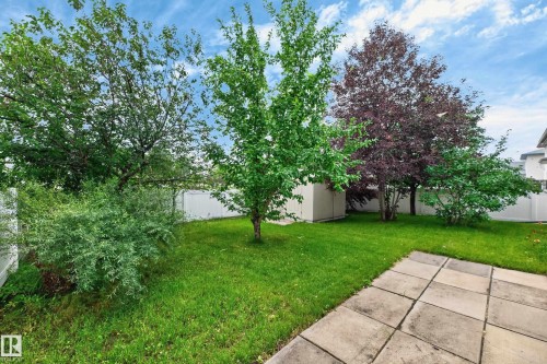 8011 164 Avenue Nw, Edmonton, AB - Outdoor