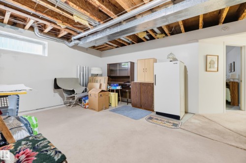 8011 164 Avenue Nw, Edmonton, AB - Indoor Photo Showing Basement
