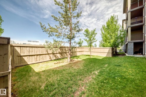 Fenced yard featuring a mature pine tree and an apartment building exterior with stone accents and balconies - 103 3315 James Mowatt Trail Sw, Edmonton, AB - Outdoor With Balcony
