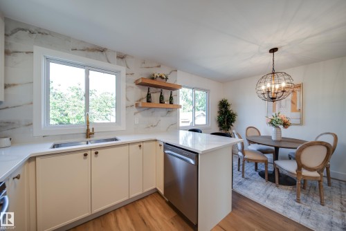 10343 172 Avenue Nw, Edmonton, AB - Indoor Photo Showing Kitchen With Double Sink