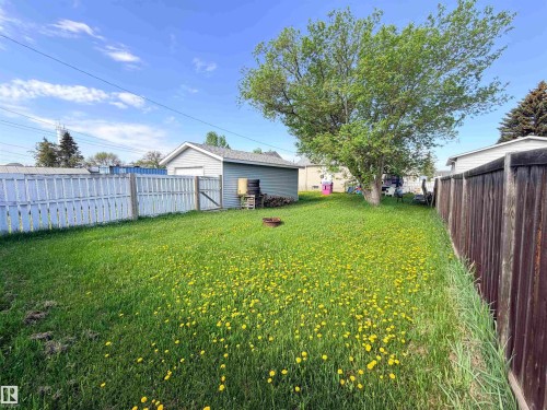 Expansive backyard featuring a mature deciduous tree, a detached shed with light grey siding and a dark roof, a white picket fence, and a dark wood privacy fence - 4823 49 Street, Clyde, AB - Outdoor
