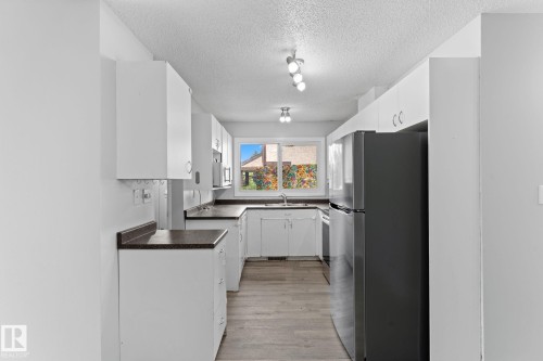 3019 139 Avenue Nw, Edmonton, AB - Indoor Photo Showing Kitchen With Double Sink