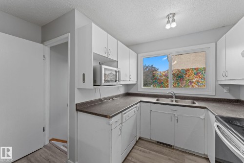 3019 139 Avenue Nw, Edmonton, AB - Indoor Photo Showing Kitchen With Double Sink
