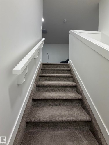 Carpeted staircase with white handrails and painted walls - 3631 213 Street Nw, Edmonton, AB - Indoor Photo Showing Other Room