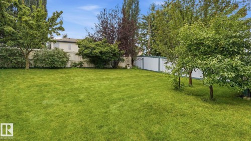 Expansive green lawn with mature trees and a white privacy fence - 125 Dechene Road Nw, Edmonton, AB - Outdoor
