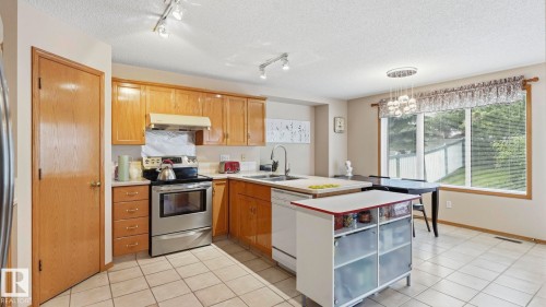 Kitchen - 125 Dechene Road Nw, Edmonton, AB - Indoor Photo Showing Kitchen With Double Sink