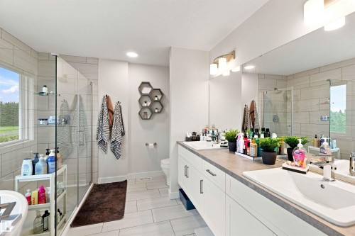 7608 Creighton Place Sw, Edmonton, AB - Indoor Photo Showing Bathroom
