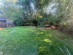 Expansive backyard featuring a green lawn, wood fence, and mature trees providing natural screening - 
