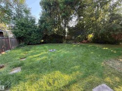 Spacious backyard featuring a grass lawn, mature perimeter trees, and a weathered wooden privacy fence - 