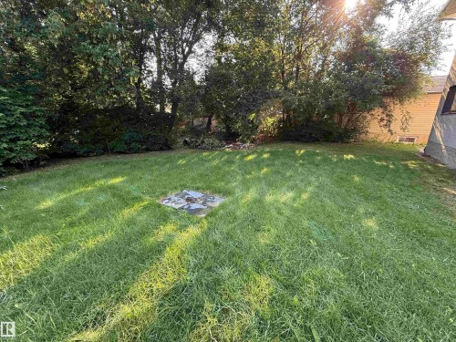 Expansive grassy yard area defined by mature trees and shrubs - 14 Gillian Crescent, St. Albert, AB - Outdoor