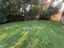 Expansive grassy yard area defined by mature trees and shrubs - 