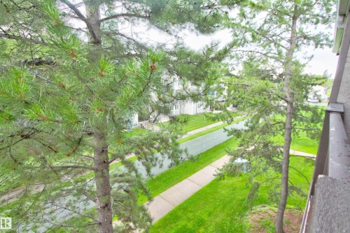 Balcony with a wood railing and mature evergreen trees - #302 47 Akins Dr, St. Albert, AB - Outdoor
