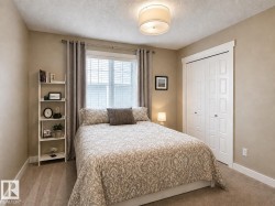 Carpeted room featuring a double-pane window with blinds and drapes, a drum-style ceiling light fixture, and a built-in bifold closet with white paneled doors - 