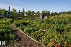 Established garden plots featuring diverse plantings and wood chip pathways - 