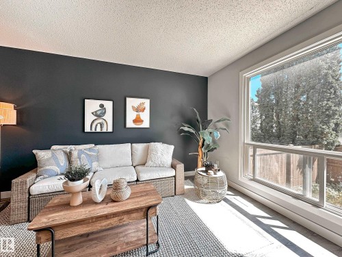 862 Erin Place Nw, Edmonton, AB - Indoor Photo Showing Living Room