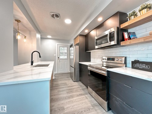 862 Erin Place Nw, Edmonton, AB - Indoor Photo Showing Kitchen With Double Sink With Upgraded Kitchen