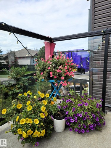 #128 1304 Rutherford Rd Sw Sw, Edmonton, AB - Outdoor