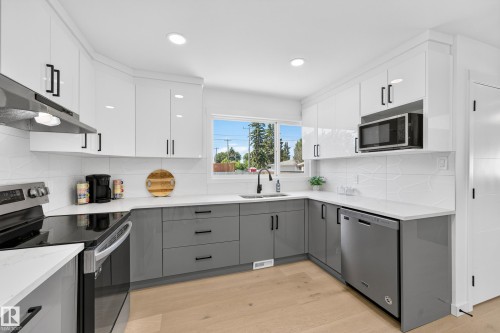 6011 93A Avenue Nw, Edmonton, AB - Indoor Photo Showing Kitchen With Upgraded Kitchen
