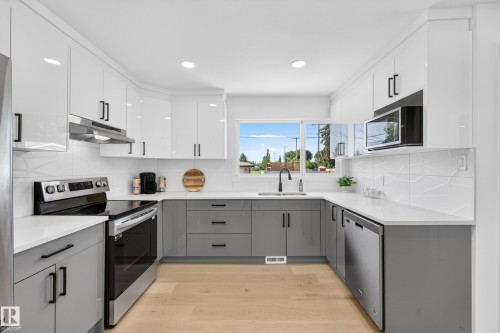 6011 93A Avenue Nw, Edmonton, AB - Indoor Photo Showing Kitchen With Upgraded Kitchen
