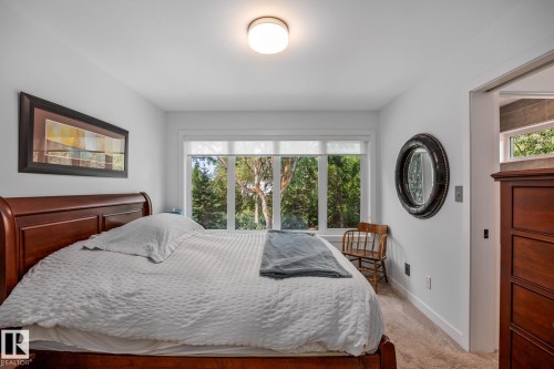 Light-filled room featuring large windows, neutral carpeting, and a flush-mount ceiling light - 14221 101 Avenue Nw, Edmonton, AB - Indoor Photo Showing Bedroom