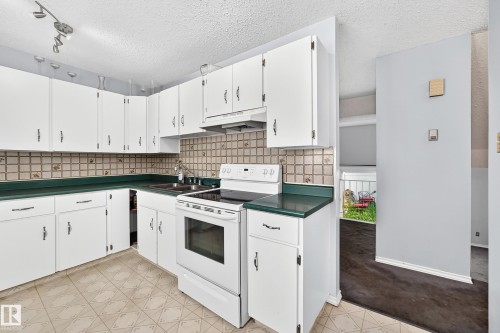 14630 52 Street Nw, Edmonton, AB - Indoor Photo Showing Kitchen With Double Sink