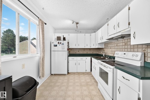 14630 52 Street Nw, Edmonton, AB - Indoor Photo Showing Kitchen With Double Sink