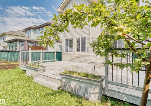 Expansive wood deck with built-in planters and black spindle railings, bordered by a green wooden fence - 1338 Rutherford Road Sw, Edmonton, AB - Outdoor With Deck Patio Veranda