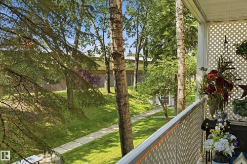 Private balcony featuring a lattice railing, overlooking a green space with mature trees and a concrete pathway - #208 9760 176 St Nw, Edmonton, AB - Outdoor