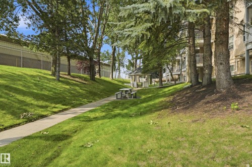 Expansive green space featuring a concrete pathway, mature trees, a white gazebo, and a picnic table - #208 9760 176 St Nw, Edmonton, AB - Outdoor