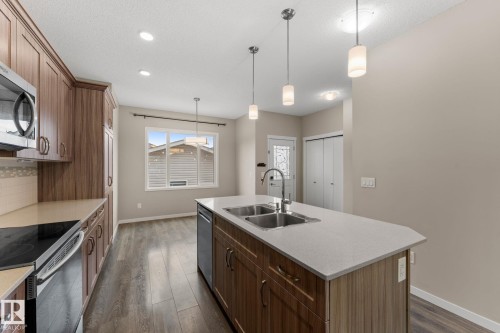 17159 49 Street Nw, Edmonton, AB - Indoor Photo Showing Kitchen With Double Sink With Upgraded Kitchen