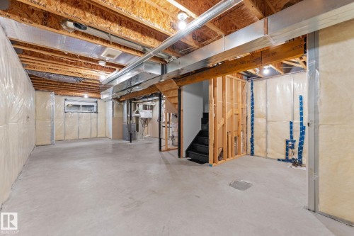 17159 49 Street Nw, Edmonton, AB - Indoor Photo Showing Basement