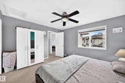 Carpeted room with a ceiling fan, a window, and gray painted walls - 