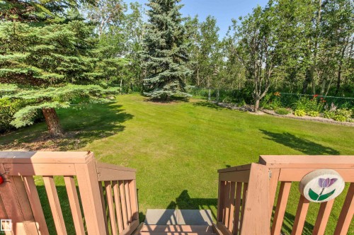 Expansive backyard featuring a manicured lawn, mature evergreen trees, and a tree-lined border - #12 64 Blackburn Dr W Sw, Edmonton, AB - Outdoor With Deck Patio Veranda