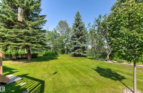 Expansive green space featuring mature trees and established landscaping - #12 64 Blackburn Dr W Sw, Edmonton, AB - Outdoor