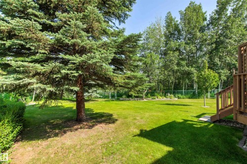 Spacious green lawn surrounded by mature trees, featuring a large evergreen and deciduous trees in the background - #12 64 Blackburn Dr W Sw, Edmonton, AB - Outdoor